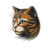 tabby icon